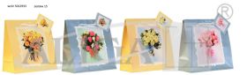 Glossy Gift Bag MP-16 for CD