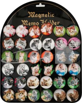 Magnets Сats MG-0099 36pcs.