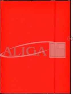 Glossy folder Red
