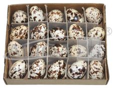 Jajka wielk.WPJ-8965 plastik 3,6 cm. przepiórcze op. zaw. 20 szt.