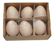 Easter eggs WPJ-8927 plastic, 6 cm. chiken, pack. contains 6 pcs.