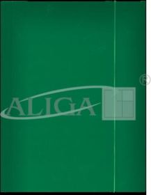 Glossy folder Green