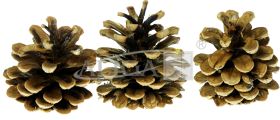 Pine cones SZYSZ-10pack.20pcs.