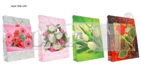 Glossy Gift Bag MP-17-maxi