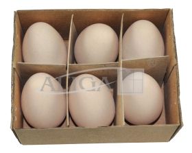 Easter eggs WPJ-8927 plastic, 6 cm. chiken, pack. contains 6 pcs.